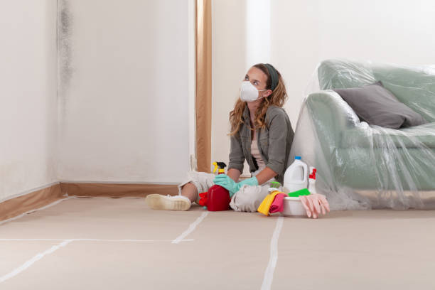 Reliable Mold Remediation contractor in Olney, IL by Cheap Mold Removal